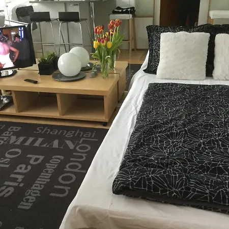 Eerikinkatu Apartman Helsinki